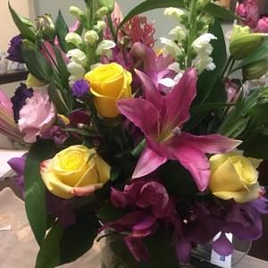 Meet your Posher, Effie